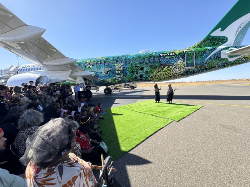 a group of people sitting on grass next to an airplane