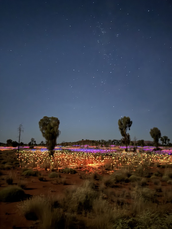 a field of lights at night