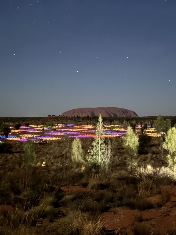 a landscape with trees and lights